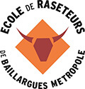 raseteur ville de baillargues