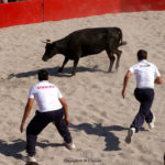 Journée taurine à Meze