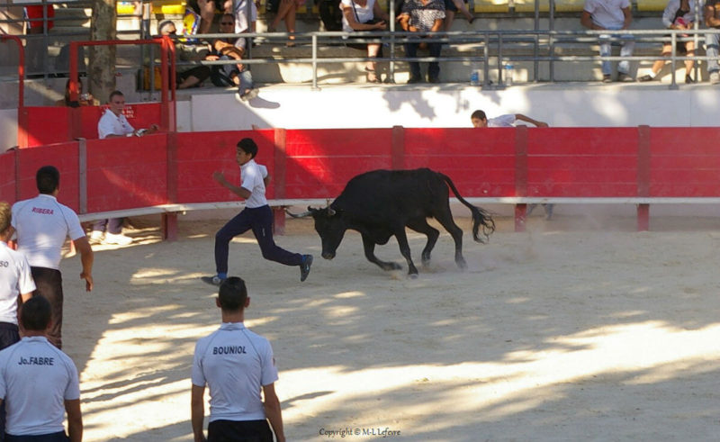 ouverture fête baillargues