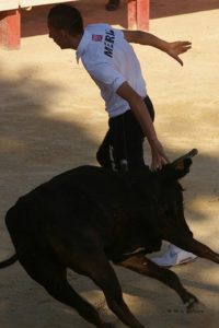 fête du taureau